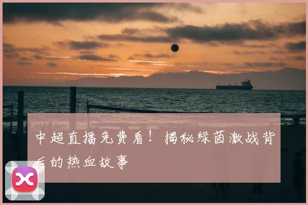 中超直播免费看！揭秘绿茵激战背后的热血故事