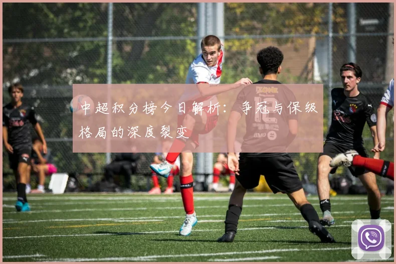 中超积分榜今日解析：争冠与保级格局的深度裂变